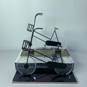 Decor Bike