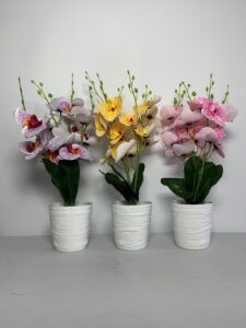 Flowers (N15,000 each)