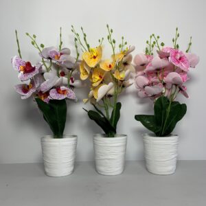 Flowers (N15,000 each)