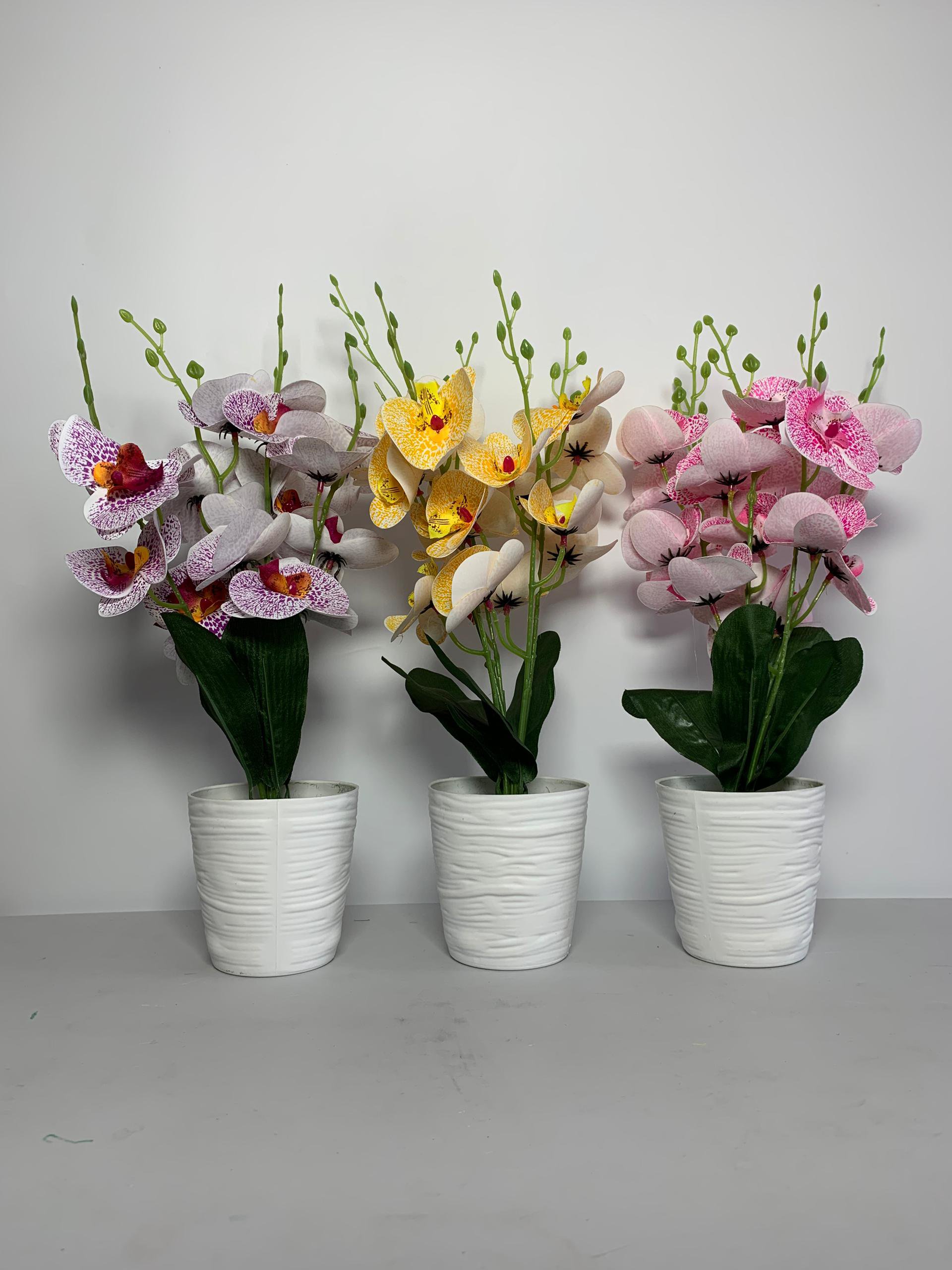Flowers (N15,000 each)