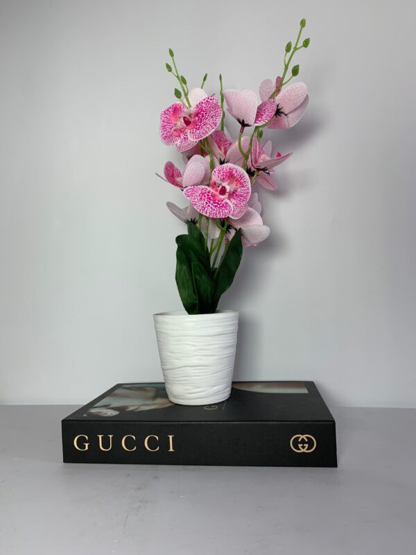 Flowers (N15,000 each) - Image 2