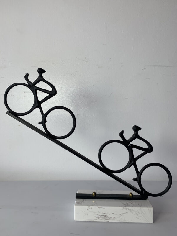 Double bike black
