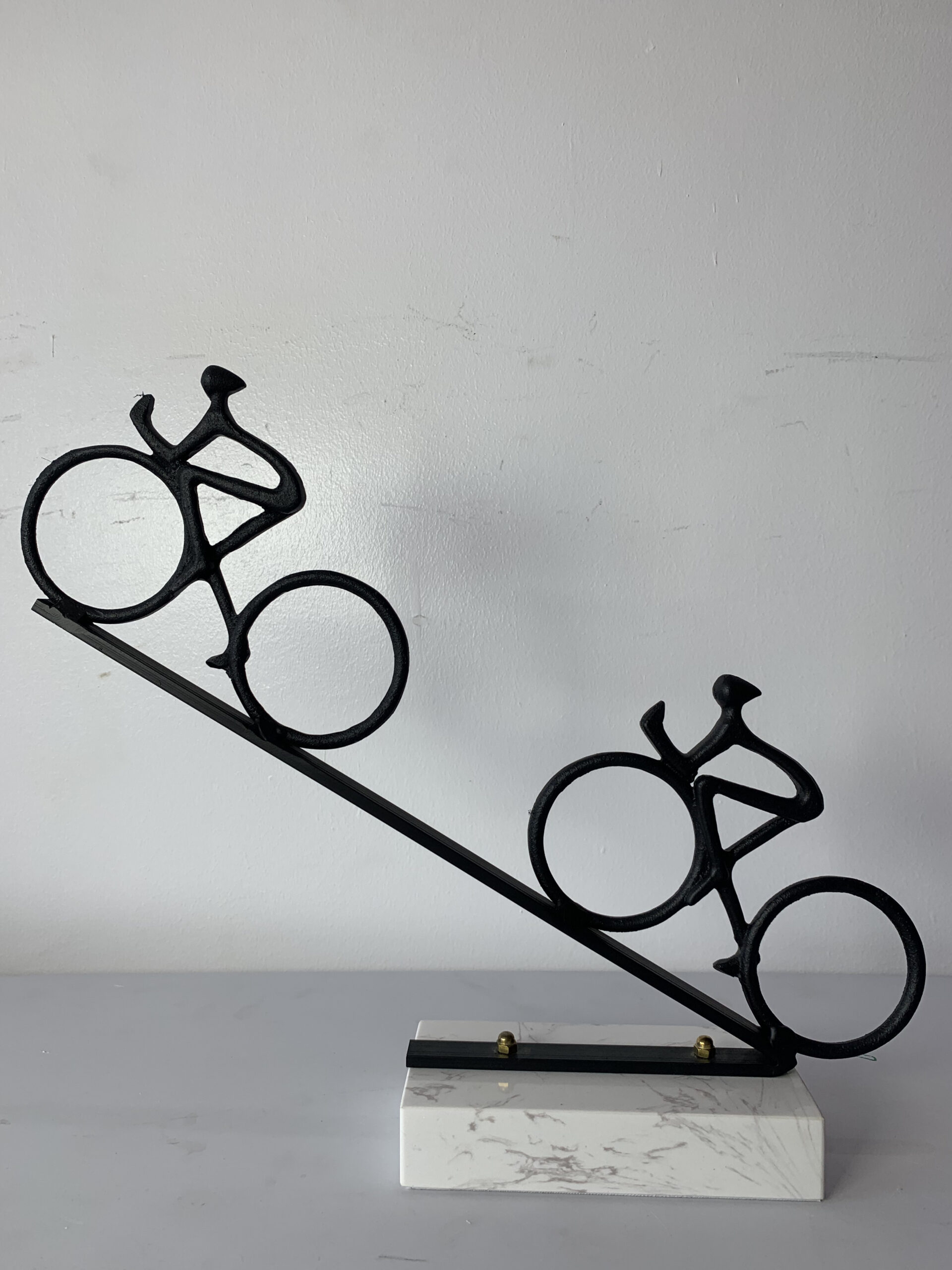 Double bike black