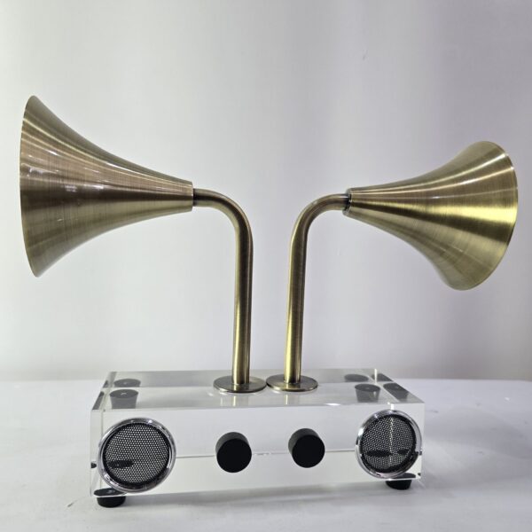 Double speaker